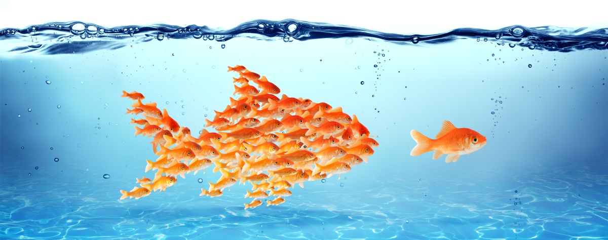 Leadership coaching for digital transformation